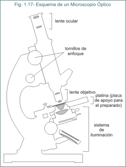 Fig.1.17 Esquema de Microscopio ptico